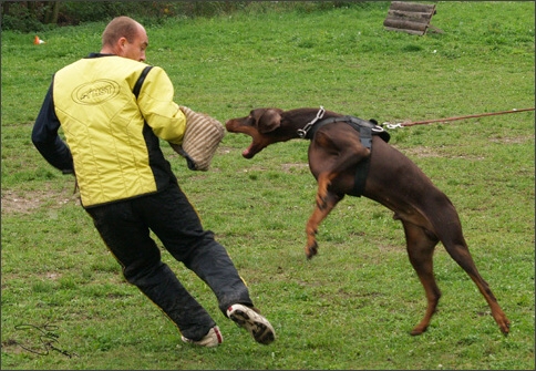 Training in Prague 10/2007